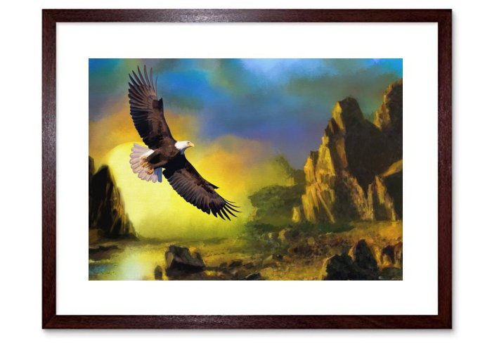 Eagle Wildlife Sunset Flying Nature Bird